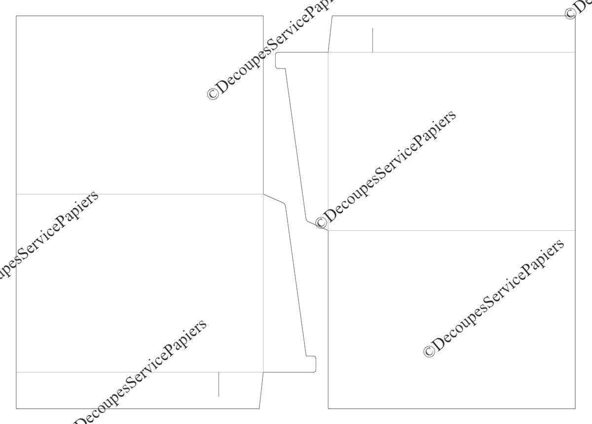 CHEMISE F 220 X 305 O 485 X 370.jpeg